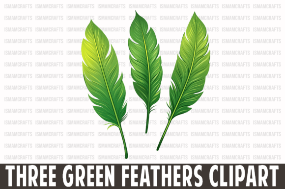 Reviewing Three Green Feathers Clipart PNG for Embroidery
